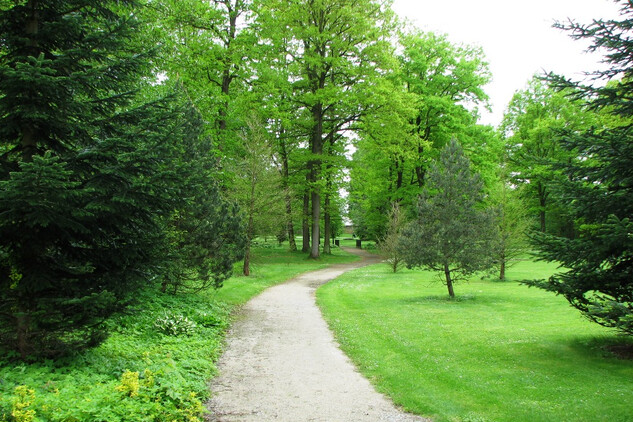 Anglický park 