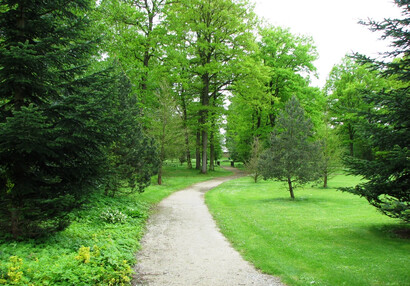 Anglický park 